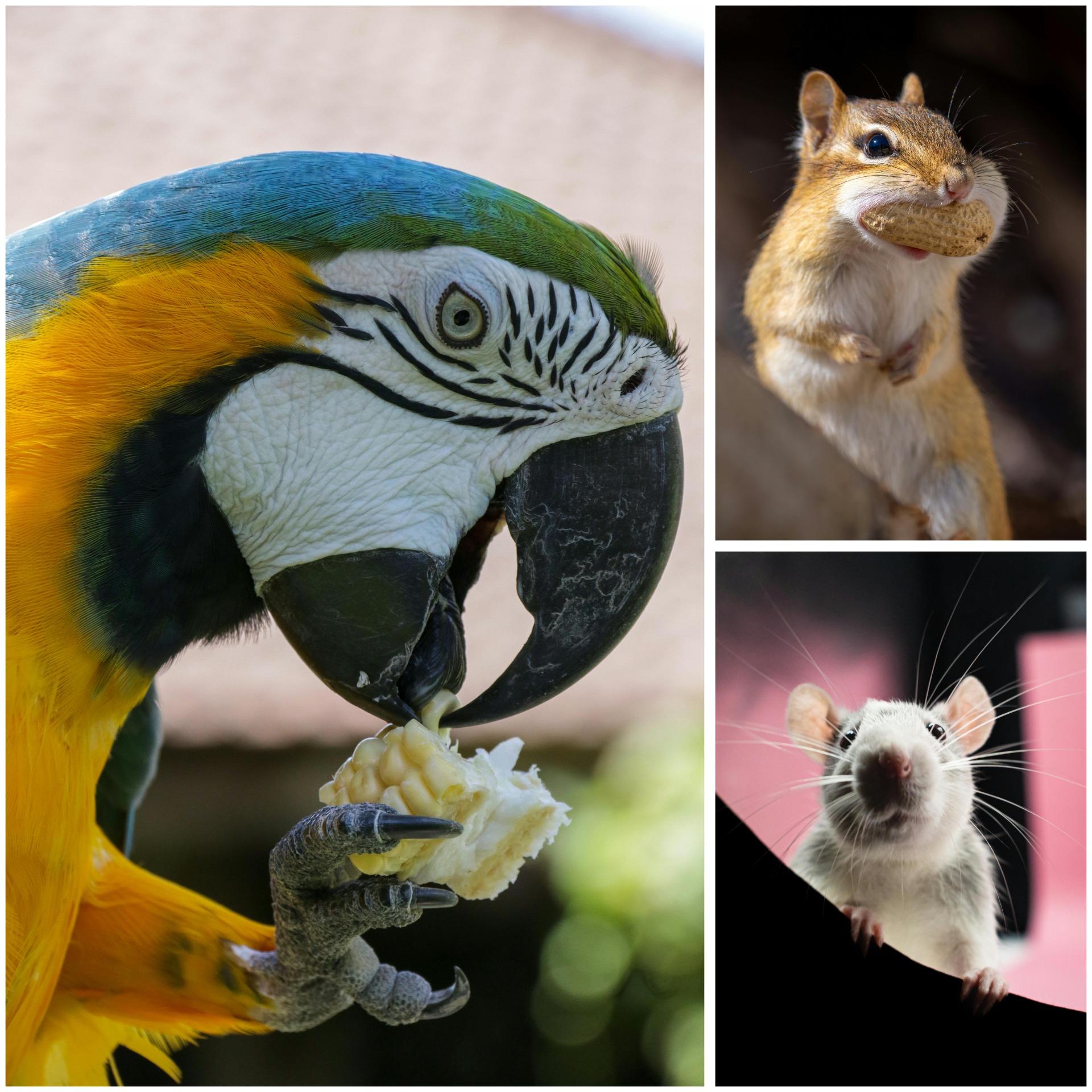 ''Signature Experience''